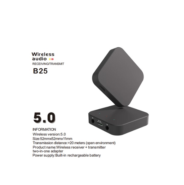 Wireless Audio Transmitter/Receiver 5.1 B25