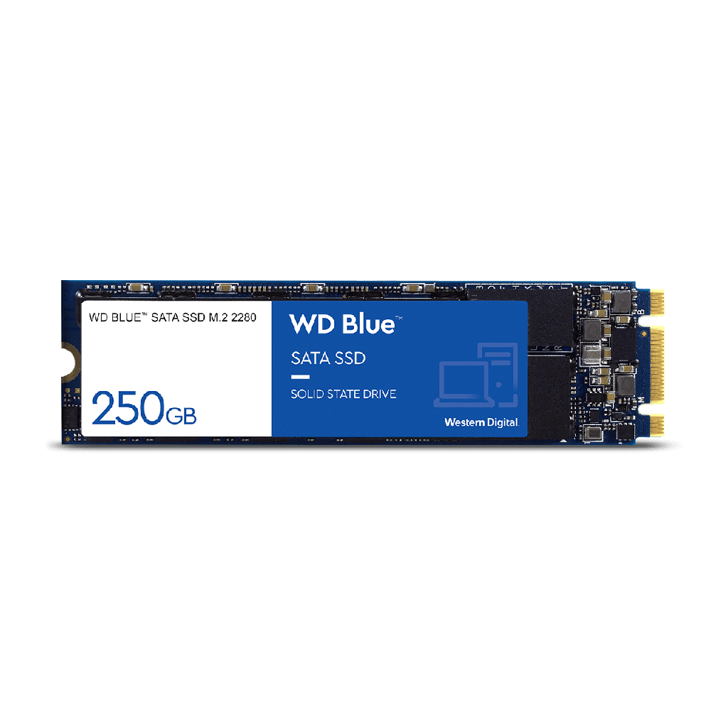 Internal SSD Disque M.2 2280 SATA