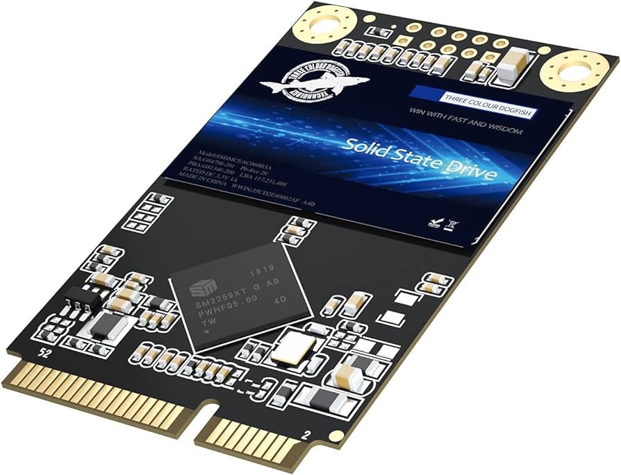 Internal SSD Disque mSATA