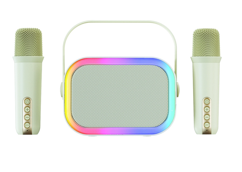 PHILIPS Karaoke Speaker TAS2808